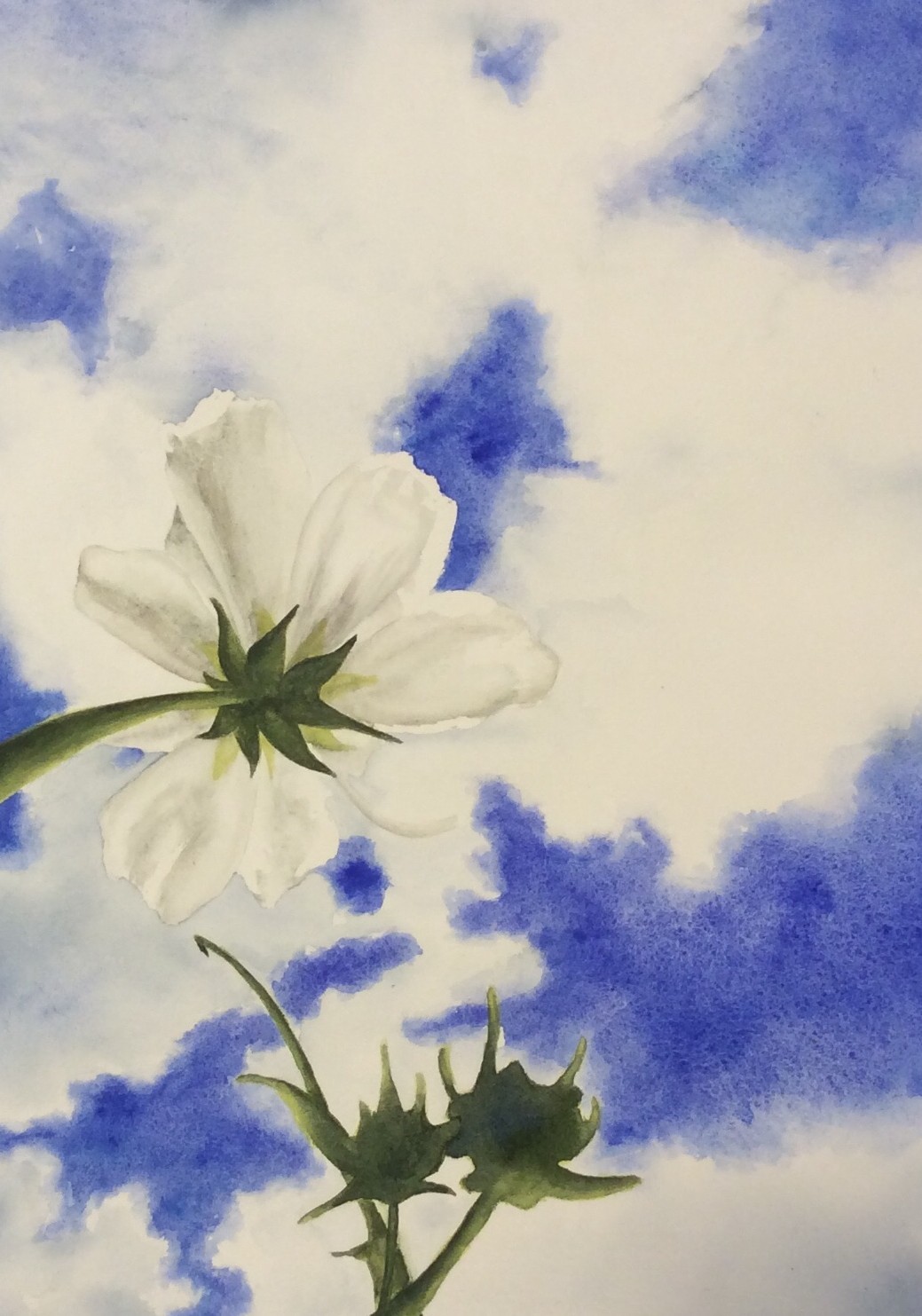 Ciel Blanc